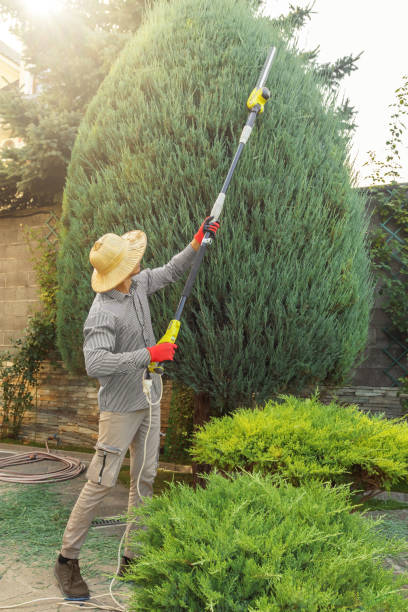 Lawn Watering Services in Beaverton, OR